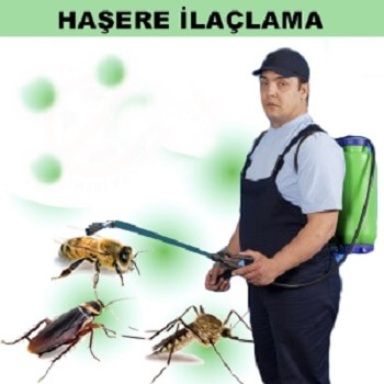 Damal Böcek İlaçlama